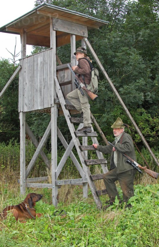 Huntsman and huntress climb onto a high seat, hunting dog Bavarian Mountain Hound laid down, Allgaeu, Bavaria, Germany, Europe