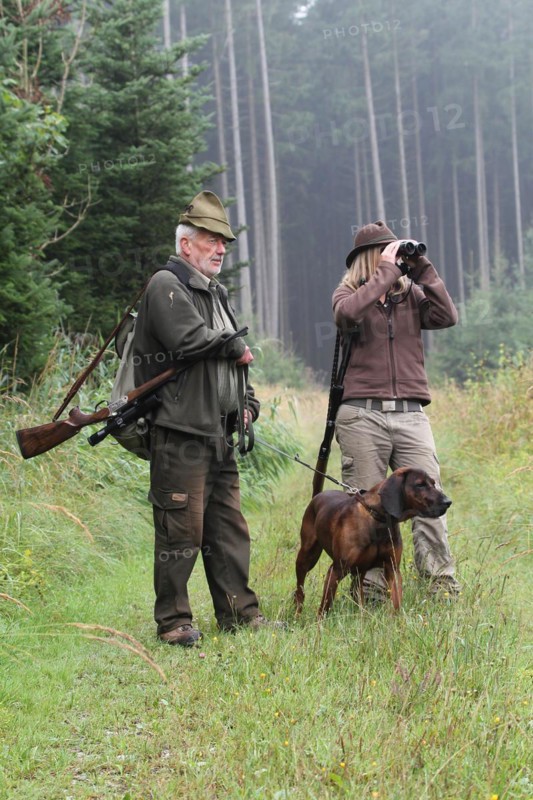 Huntsman and huntress, accompanied by hunting dog Bavarian Mountain Hound, Allgaeu, Bavaria, Germany, Europe