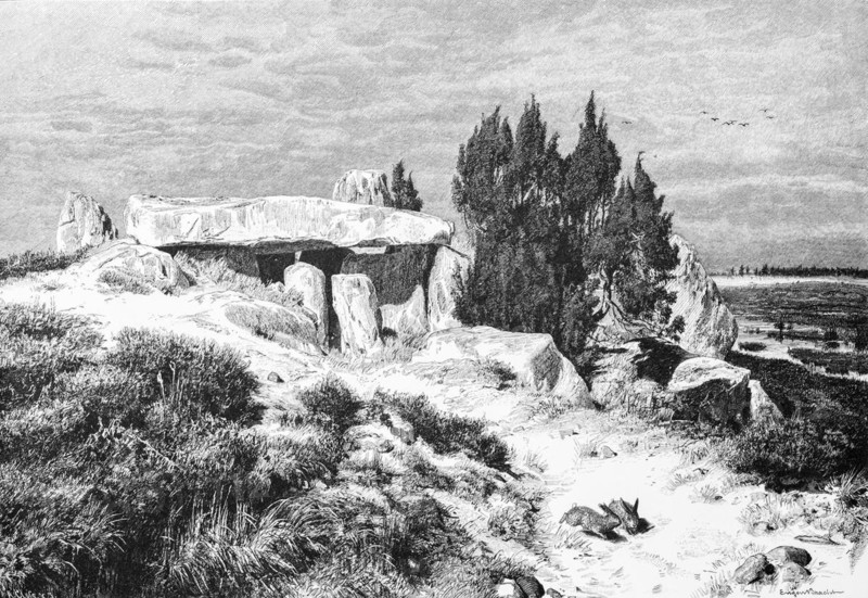 Barrow on the Lueneburg Heath, juniper, boulders, hill, Lower Saxony, Germany, historical illustration 1880, Europe
