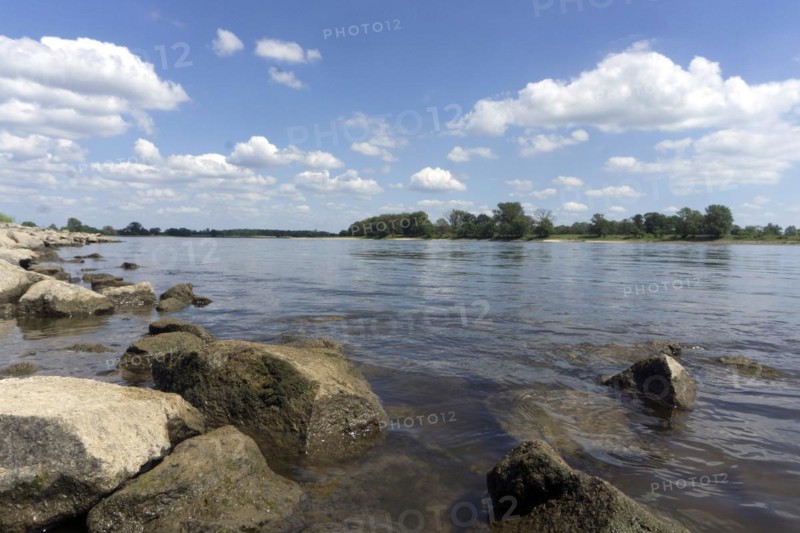 The Elbe near Wittenberge, 19/06/2017