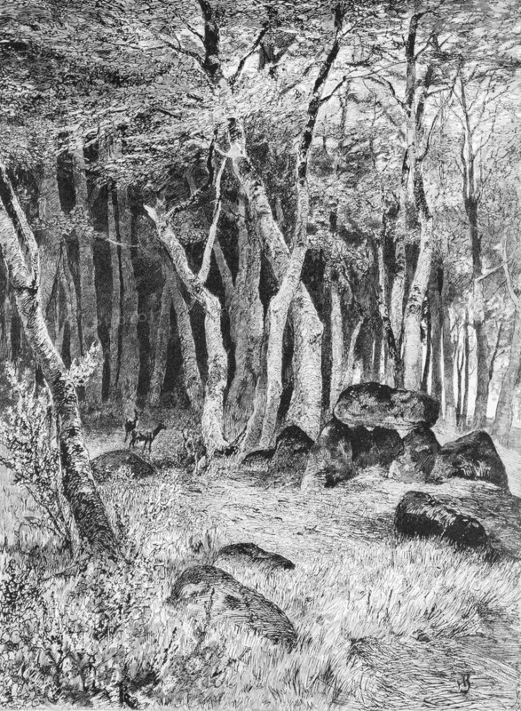 Hunebed on Ruegen, Baltic Sea island, erratic blocks, forest, deer, Mecklenburg-Western Pomerania, Germany, historical illustration 1880, Europe