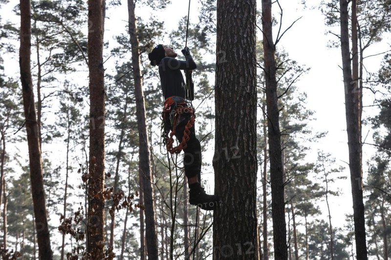 An activist pulls himself up a rope to one of the tree houses in the Gruenheide forest. The activist group Stop Tesla has built tree houses in the forest to protest against the planned expansion of the Tesla plant, 04/03/2024