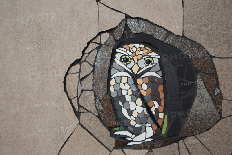 Wall mosaic with burrowing owl by Isidora Paz Lopez 2019, one, brown, bird figure, handicraft, tile, tiles, Lopez, rock staircase, bird staircase, Pirmasens, Palatinate Forest, Rhineland-Palatinate, Germany, Europe