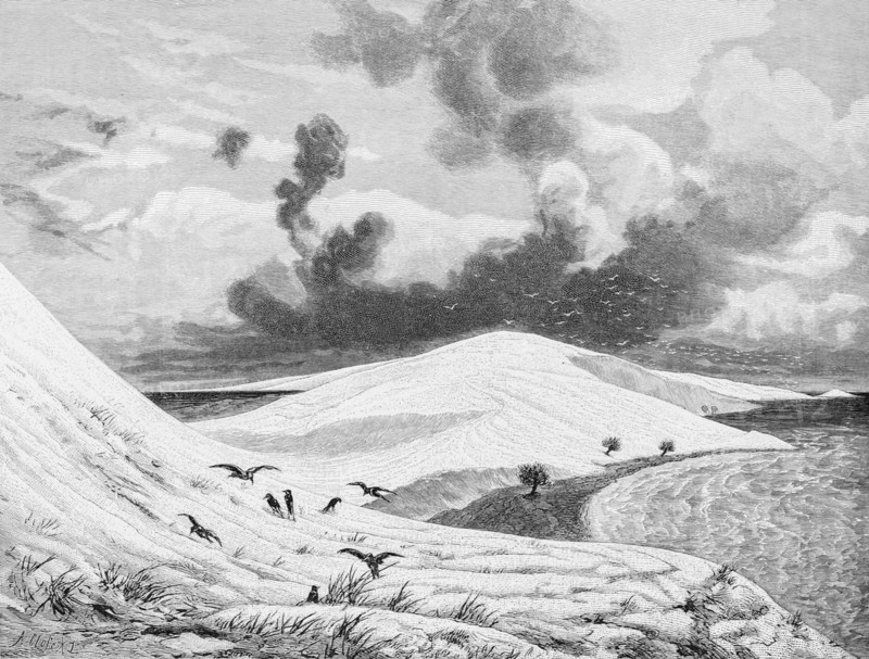 Dune landscape, Curonian Spit or Curonian Lagoon, birds, cloudy sky, Russia, historical illustration 1880, Europe