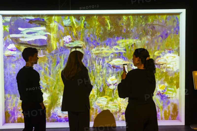 Monet's Garden, Dresden, Dresden, Saxony, Germany, Europe