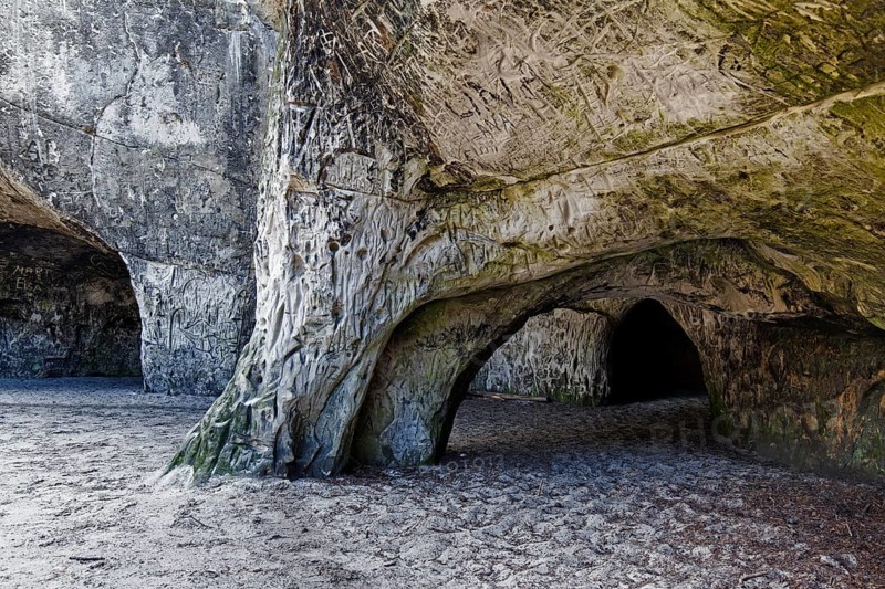 Carved rock in the Sandhoehlen, sandstone caves in forest called Im Heers below the crags of Regenstein near Blankenburg, Harz, Saxony-Anhalt, Germany, Europe