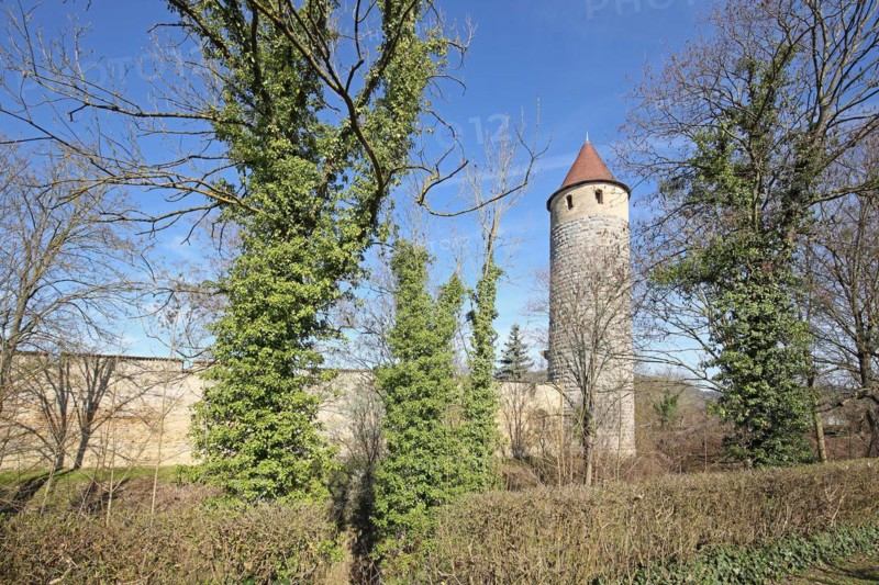 Historic owl defence tower with town wall, town fortification, defence tower, Iphofen, Lower Franconia, Franconia, Bavaria, Germany, Europe