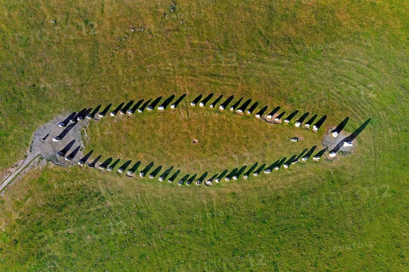 Aerial view over Ale's Stones, Ales stenar, megalithic stone oval monument representing stone ship near Kaseberga, Skane, Sweden, Europe