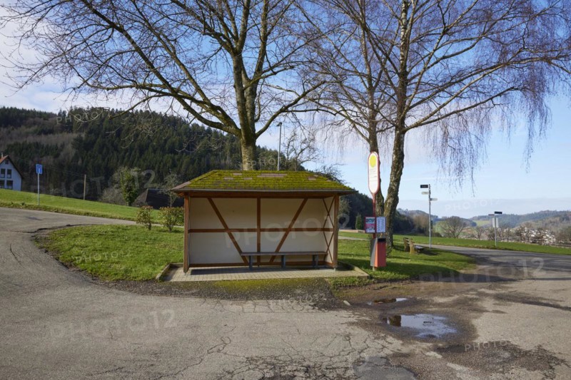 Bus bend, bus stop with bus shelter and wintry trees in Waldkirch, Emmendingen district, Baden-Wuerttemberg, Germany, Europe