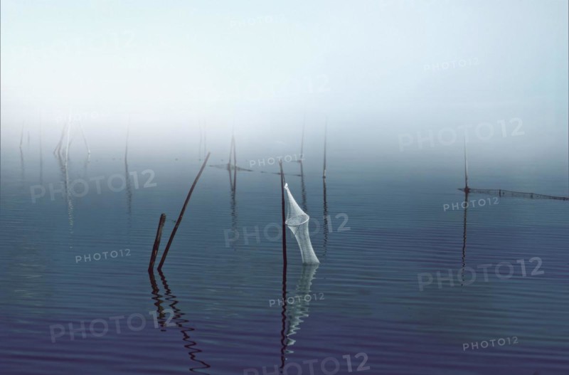 Fish trap, Steinhuder Meer, Steinhude, Lower Saxony, Germany, Europe