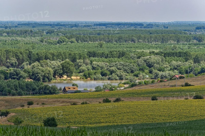 Landscape on the Saint George Branch, the southern arm of the Danube in the Danube Delta. Tulcea, Romania, Europe