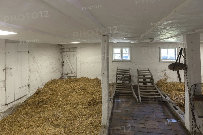 Former cattle shed in a historic farmhouse from the 19th century, Schwerin-Muess Open-Air Museum of Folklore, Mecklenburg-Western Pomerania, Germany, Europe