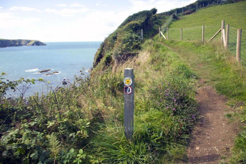 Coastal footpath Trefin, Pembrokeshire Coast national park, Wales, United Kingdom, Europe