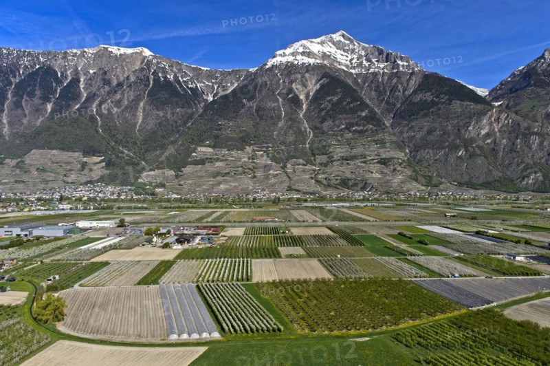 Fields and plantations for the cultivation of fruit and vegetables under the snow-covered summit of Grand Chavalard in the Rhone Valley, Charrat, Valais, Switzerland, Europe