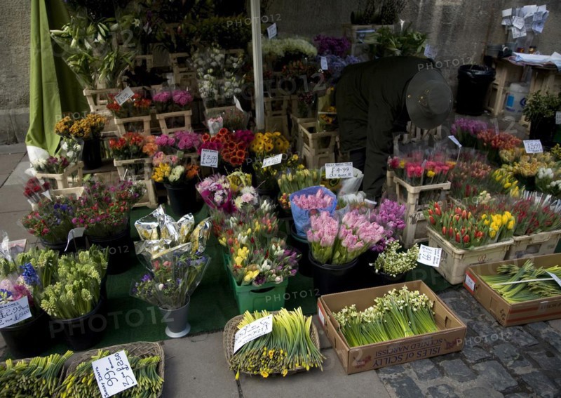 Bunches of flowers on display outside florist street stall, Bath, England, United Kingdom, Europe