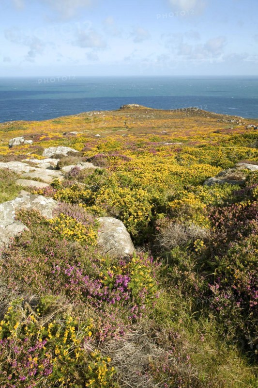 View to sea from Carn Llidi tor, St David's Head, Pembrokeshire, Wales, United Kingdom, Europe
