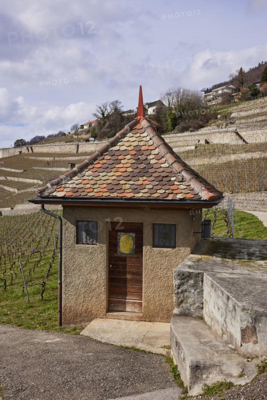 Historic small house with a square floor plan and red roof in the UNESCO World Heritage Site of the Lavaux Vineyard Terraces near Jongny, Riviera-Pays-d'Enhaut district, Vaud, Switzerland, Europe