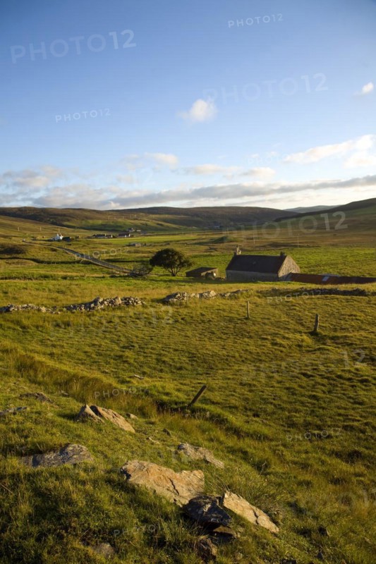 Late afternoon crofting landscape Wethersta, Mainland, Shetland Islands, Scotland, United Kingdom, Europe