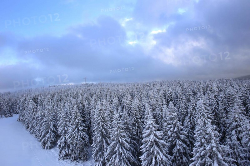 Aerial view of the wintery snow-covered forest with conifers in the Harz Mountains, Torfhaus, 28/11/2015