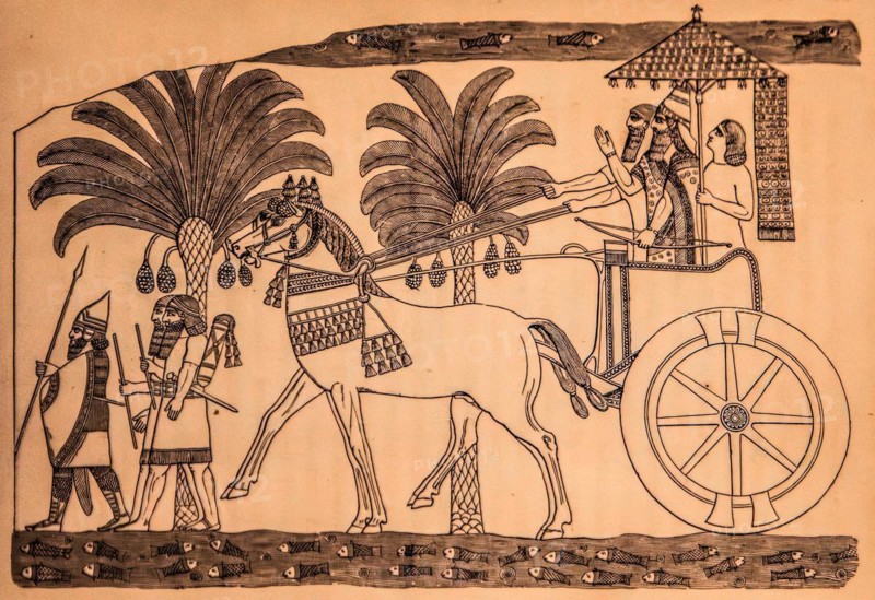 King Sennacherib returns from battle with his chariot, Archaeological Museum, Castello di Udine, seat of the State Museums, Udine, most important historical city of Friuli, Italy, Udine, Friuli, Italy, Europe