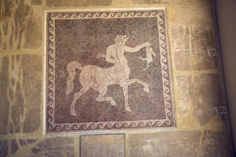 Mosaic on wall Archaeological museum, Rhodes, Greece, Europe