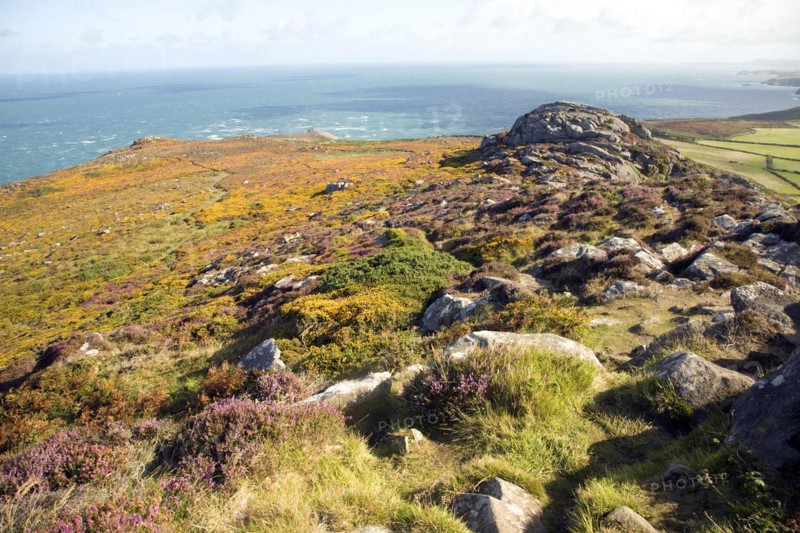 Carn Llidi tor looking north west, St David's Head, Pembrokeshire, Wales, United Kingdom, Europe