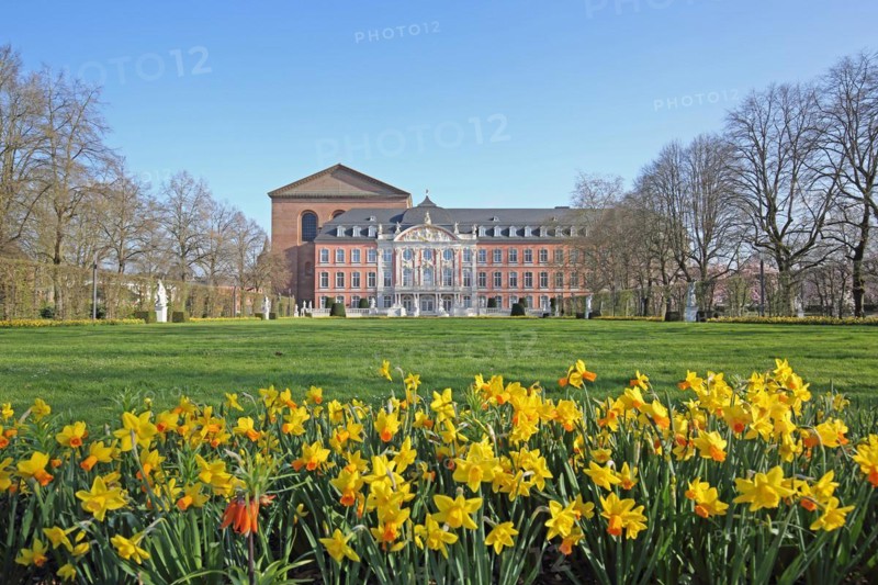 Electoral palace and Constantine basilica with palace garden in spring and blooming daffodils, flower bed, Trier, Rhineland-Palatinate, Germany, Europe