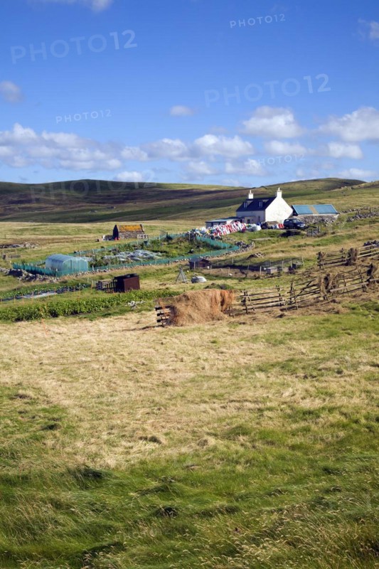 Croft house garden, Sandness, Mainland, Shetland Islands, Scotland, United Kingdom, Europe