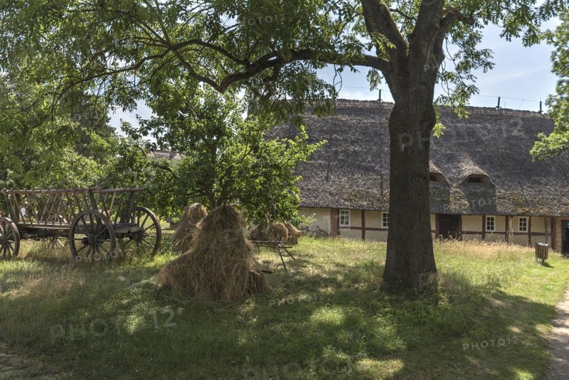 Hay wagon and sheaves of straw in the courtyard garden, behind a thatched farmhouse from the 19th century, Open-Air Museum of Folklore Schwerin-Muess, Mecklenburg-Western Pomerania, Germany, Europe