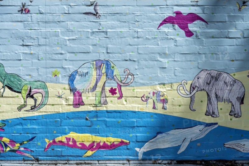 Animals of prehistoric times in water, land and air, whales, mammoths, pterosaurs, colourful illustration, children's drawing on the wall of the Hermann Hoffmann Academy, Justus Liebig University JLU, Altstadt, Giessen, Giessen, Hesse, Germany, Europe