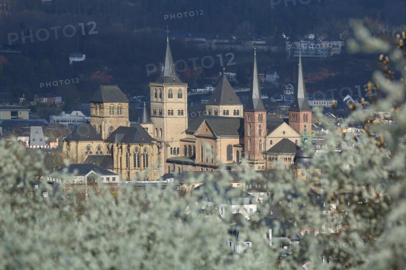 View of UNESCO St Peter's Cathedral and Church of Our Lady in spring, shrub, blossoming, light mood, cityscape, Trier, Rhineland-Palatinate, Germany, Europe