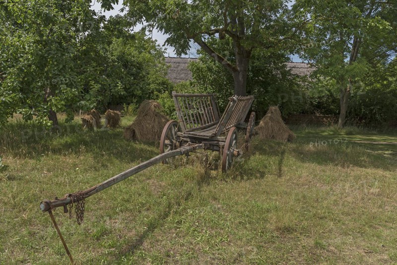 Ladder wagon around 1900 on the farm, Open-Air Museum of Folklore Schwerin-Muess, Mecklenburg-Vorpommerm, Germany, Europe