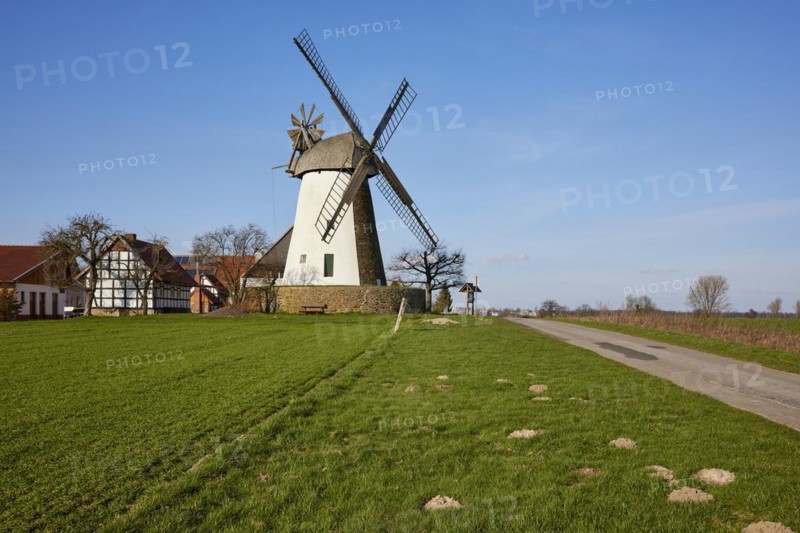 The Eickhorst windmill, a Wallhollaender dating from 1848, is part of the Westphalian Mill Road with roadway, meadow and molehills under a blue sky in Hille, Muehlenkreis Minden-Luebbecke, North Rhine-Westphalia, Germany, Europe