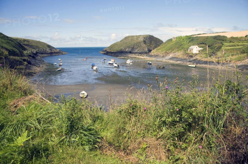 Abercastle bay, Pembrokeshire, Wales, United Kingdom, Europe