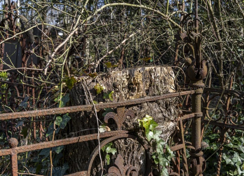 Rusty grave fences, Kirchof 1 of the Evangelische Georgen-Parochialgemeinde, Greisfswalder Strasse, Berlin, Germany, Europe
