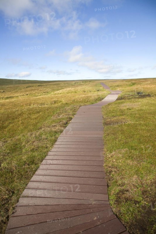 Footpath walkway, Hermaness, Unst, Shetland Islands, Scotland, United Kingdom, Europe