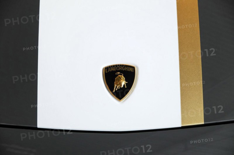 RETRO CLASSICS 2010, Stuttgart Messe, Stuttgart, Baden-Wuerttemberg, Germany, Europe, The golden Lamborghini logo on a pure white background, Europe