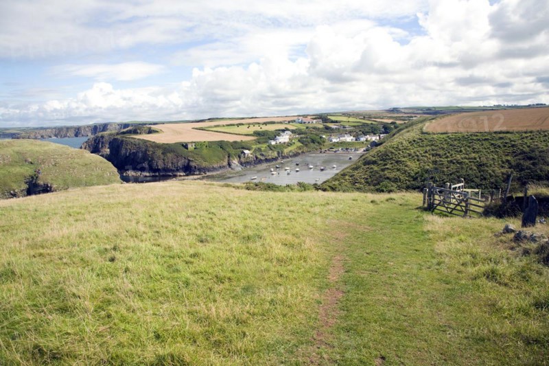 Abercastle bay coast path, Pembrokeshire, Wales, United Kingdom, Europe