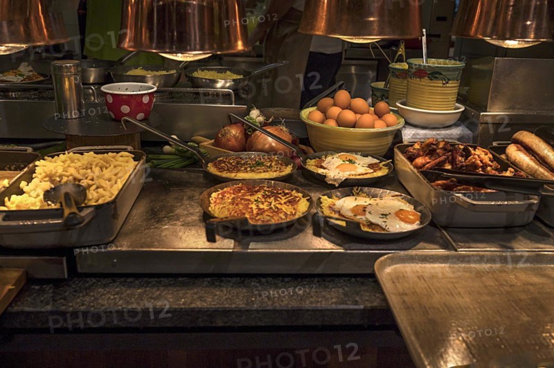 Freshly prepared dishes under heat lamps, Brandenburg, Germany, Europe