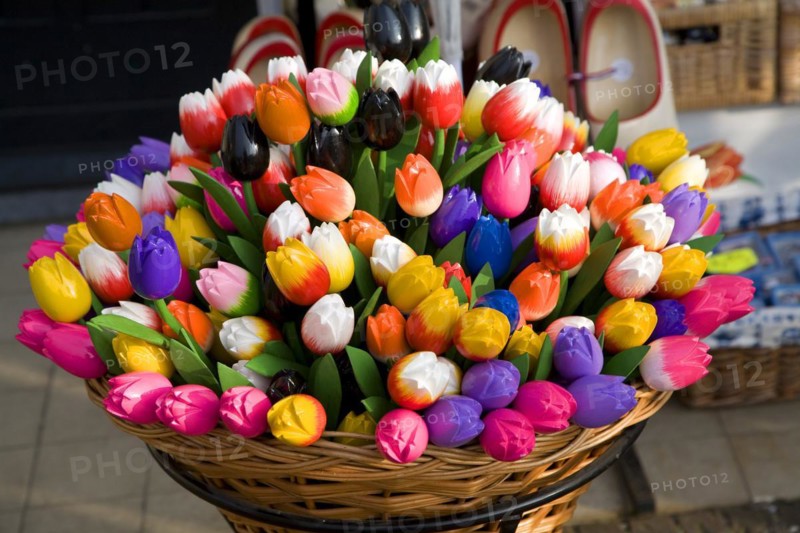 Wooden painted tulips in wicker basket, Delft, Netherlands