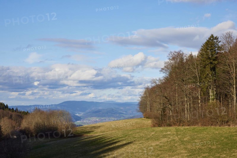 Winter landscape in the Black Forest with trees, milky blue sky and hazy distant view near Schuttertal, Ortenaukreis, Baden-Wuerttemberg, Germany, Europe