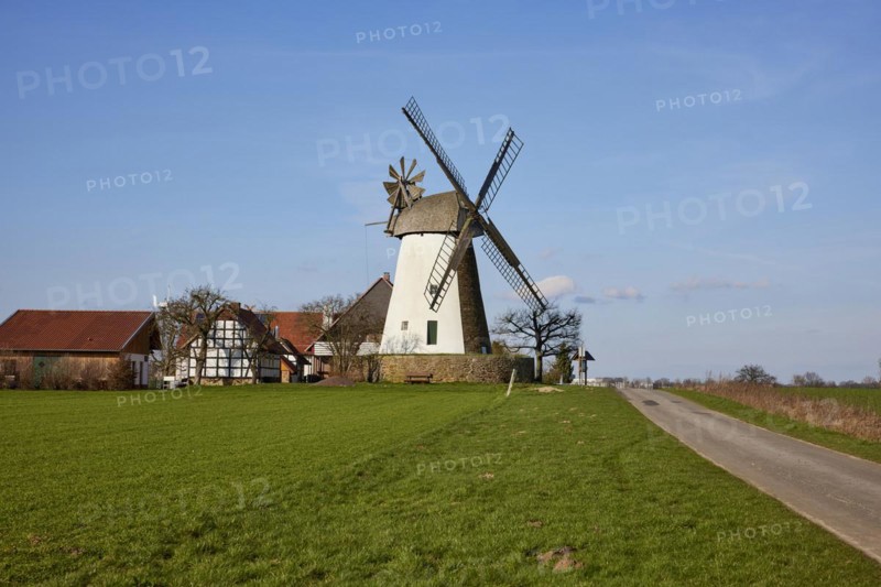 The Eickhorst windmill, a Wallhollaender from 1848, is part of the Westphalian Mill Road under a blue sky in Hille, Muehlenkreis Minden-Luebbecke, North Rhine-Westphalia, Germany, Europe
