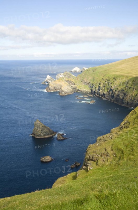 Cliffs coastal scenery, Hermaness, Unst, Shetland islands, Scotland, United Kingdom, Europe