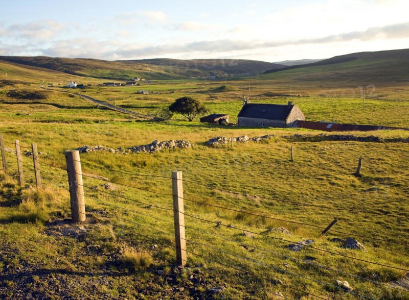 Late afternoon crofting landscape Wethersta, Mainland, Shetland Islands, Scotland, United Kingdom, Europe