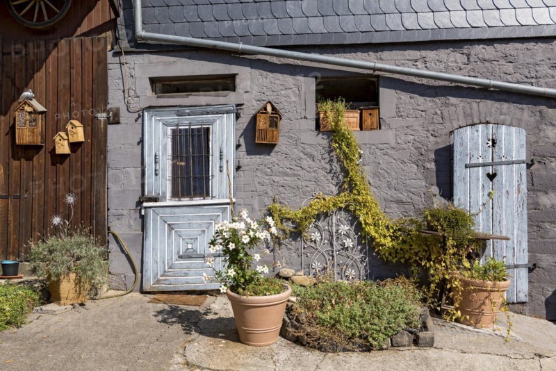 Old farmhouse, facade, decorated, flower pots, dipladenia (Mandevilla boliviensis), knotweed (Fallopia baldschuanica), weathered wooden door with heart, bird house, nesting box, idyll, romantic, Nidda, Vogelsberg, Wetterau, Hesse, Germany, Europe