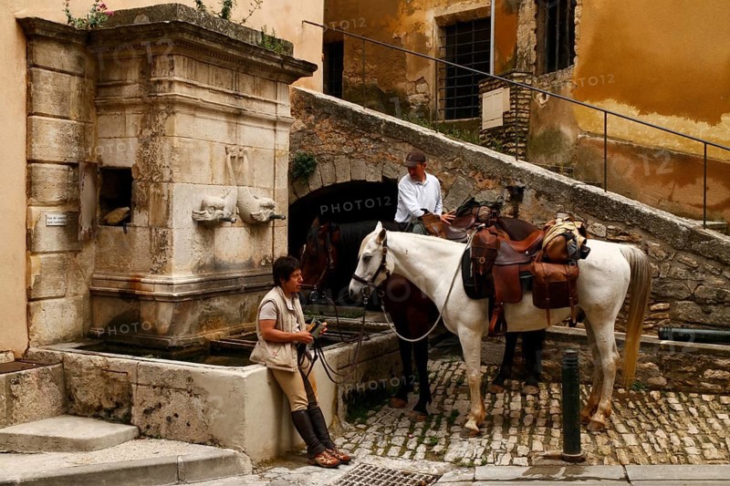 Horses in front of the dolphin fountain in Bonnieux, Luberon, Vaucluse, Provence, France, Europe