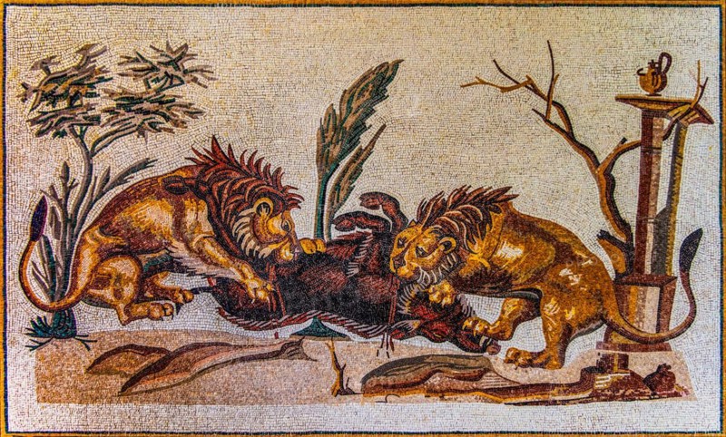 Lions attacking a wild boar, mosaic copy, Casa della Processione, El Jem, 2nd century, mosaic school producing mosaic masters, Spilimbergo, city of mosaic art, Friuli, Italy, Spilimbergo, Friuli, Italy, Europe