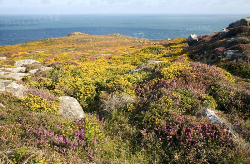 View to sea from Carn Llidi tor, St David's Head, Pembrokeshire, Wales, United Kingdom, Europe