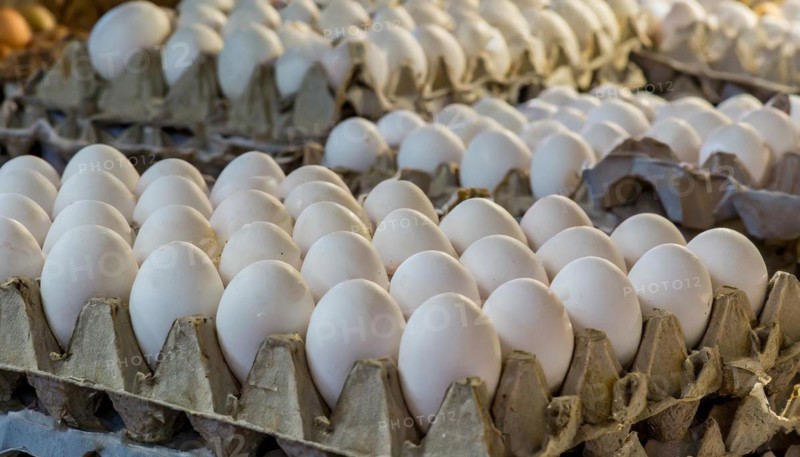 Food, fresh white hen's eggs, free range eggs, AI generated, AI generated
