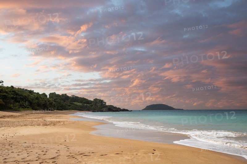 Lonely, wide sandy beach with turquoise-coloured sea. Tropical plants in a bay at sunset in the Caribbean. Plage de Cluny, Basse Terre, Guadeloupe, French Antilles, North America